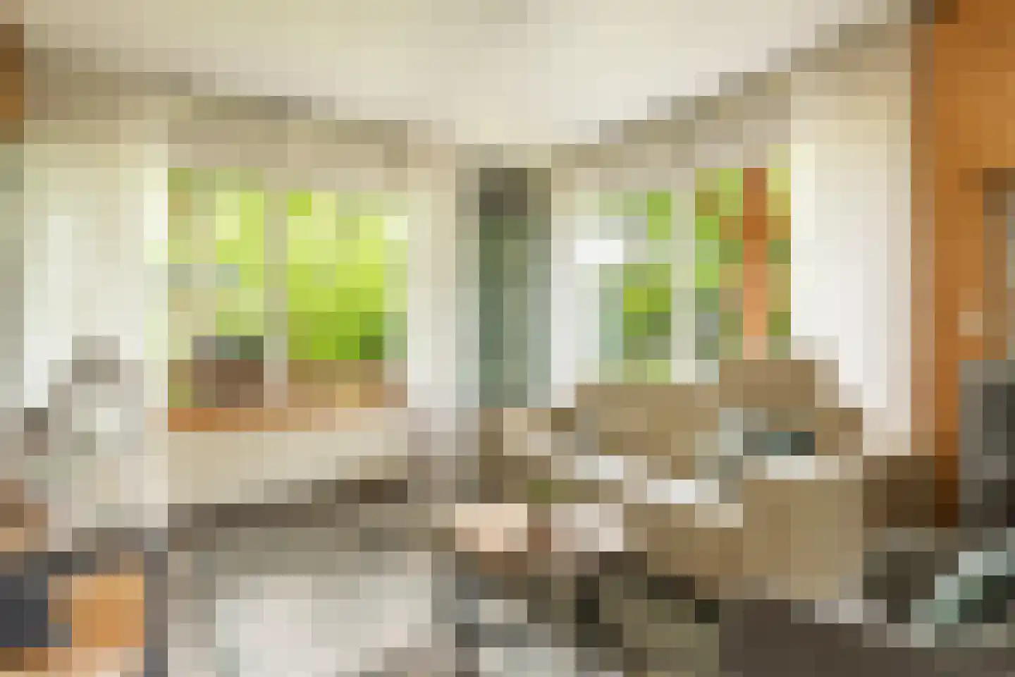 Houtvester Jansenweg 2 104 Gasselte thumbnail 23