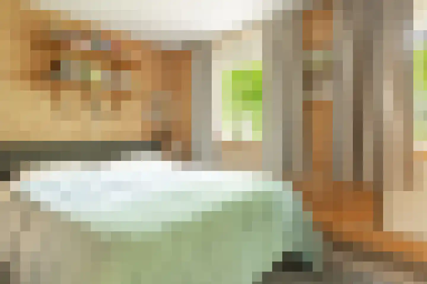 Houtvester Jansenweg 2 104 Gasselte thumbnail 4