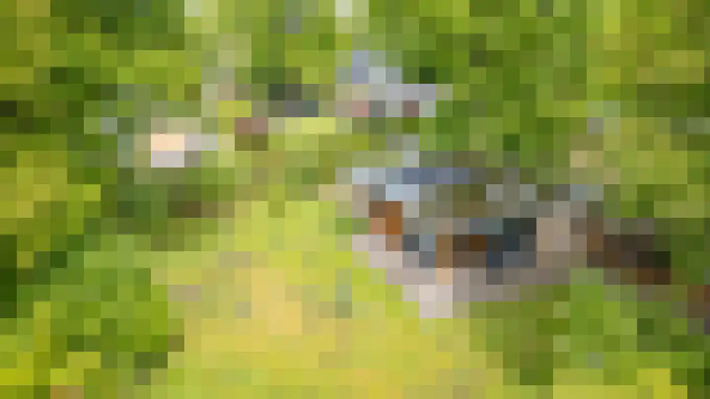 Houtvester Jansenweg 2 104 Gasselte thumbnail 6