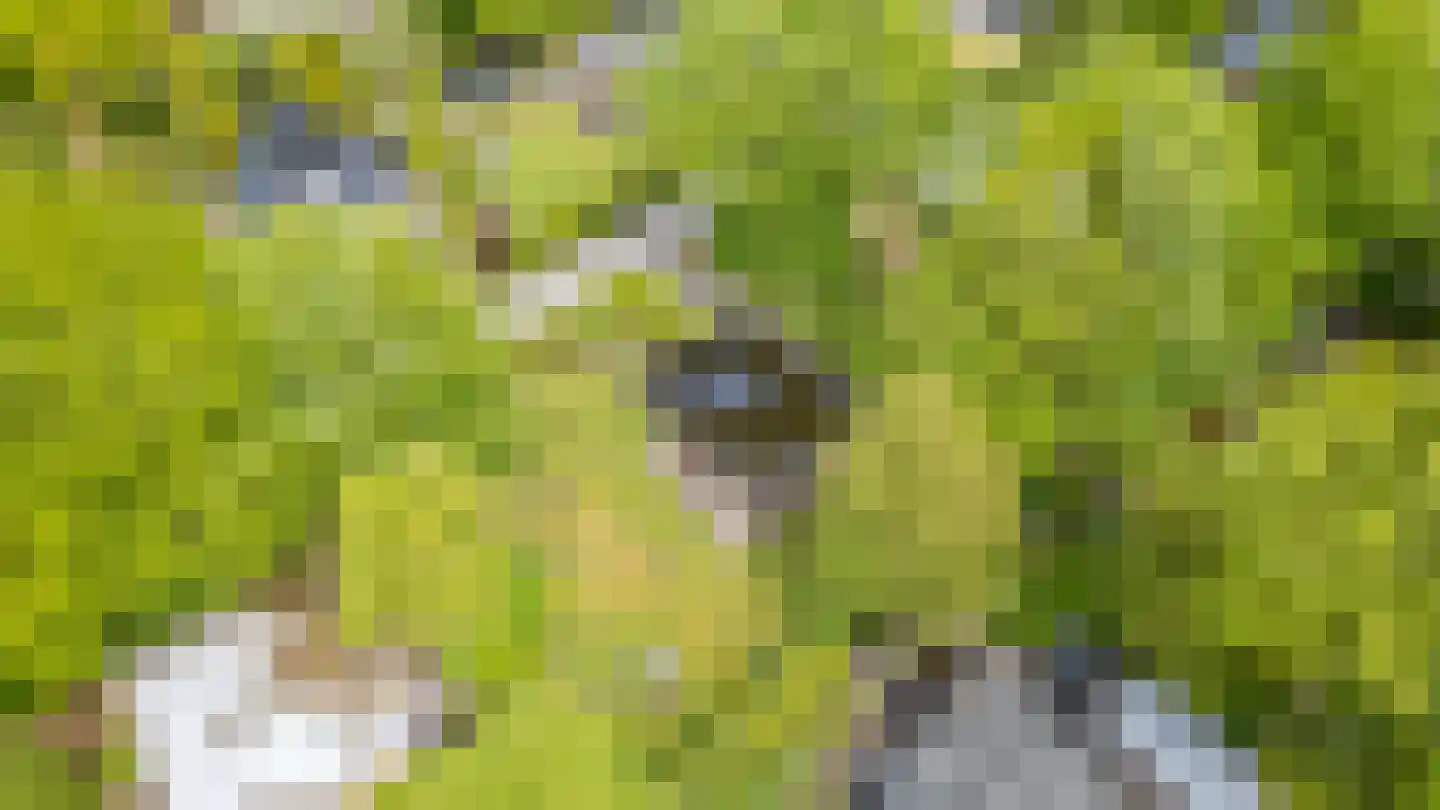 Houtvester Jansenweg 2 104 Gasselte thumbnail 8