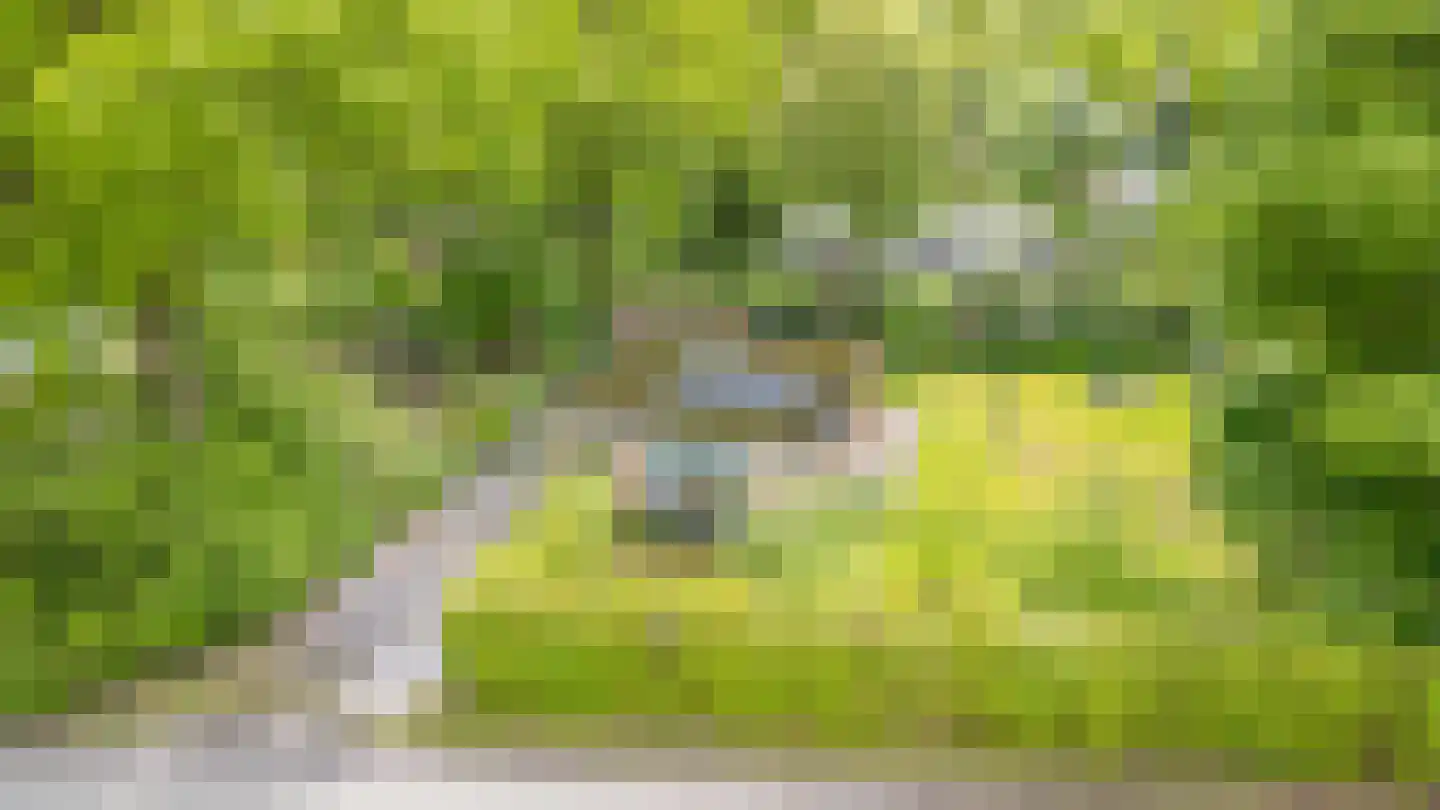 Houtvester Jansenweg 2 104 Gasselte thumbnail 9