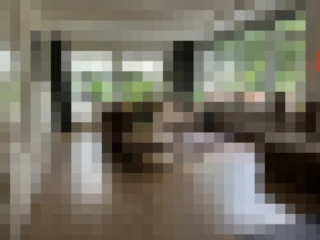 Houtvester Jansenweg 2 105 Gasselte thumbnail 11