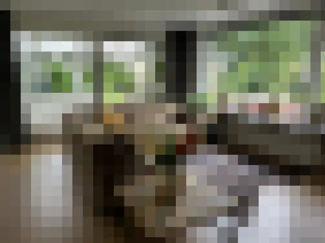 Houtvester Jansenweg 2 105 Gasselte thumbnail 12