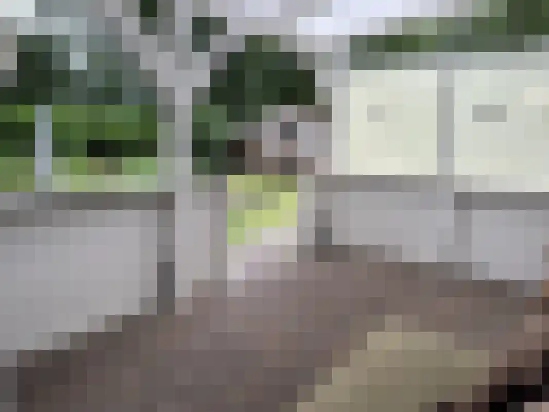 Houtvester Jansenweg 2 105 Gasselte thumbnail 13