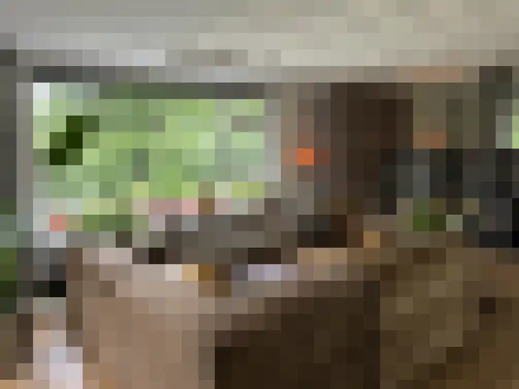 Houtvester Jansenweg 2 105 Gasselte thumbnail 15
