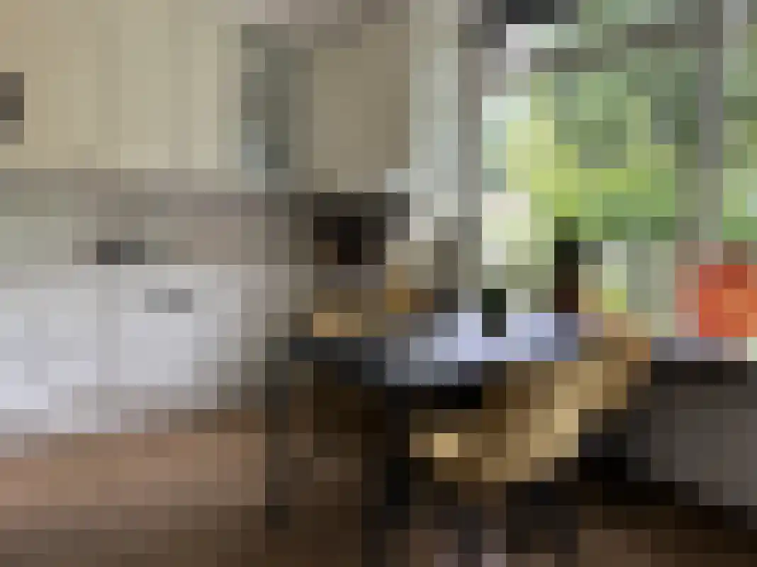 Houtvester Jansenweg 2 105 Gasselte thumbnail 18