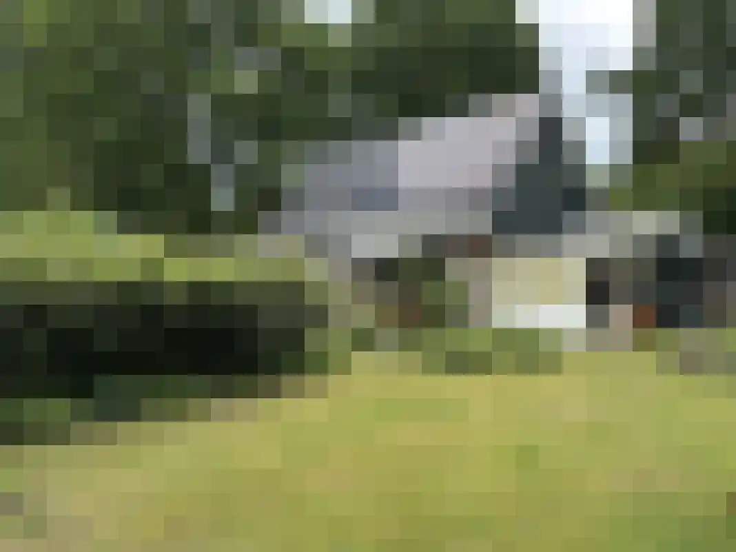 Houtvester Jansenweg 2 105 Gasselte thumbnail 28
