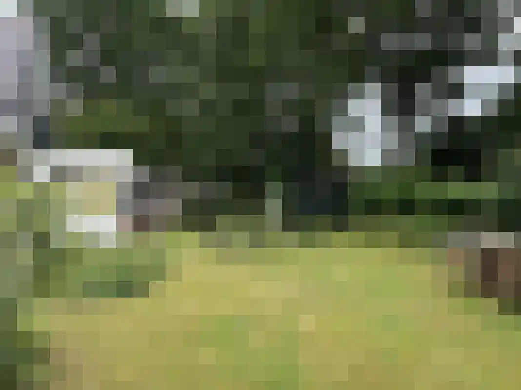 Houtvester Jansenweg 2 105 Gasselte thumbnail 30