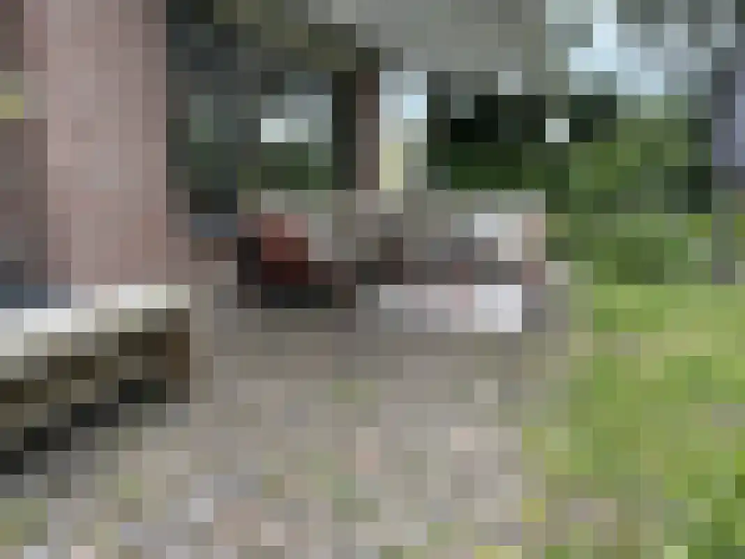 Houtvester Jansenweg 2 105 Gasselte thumbnail 31