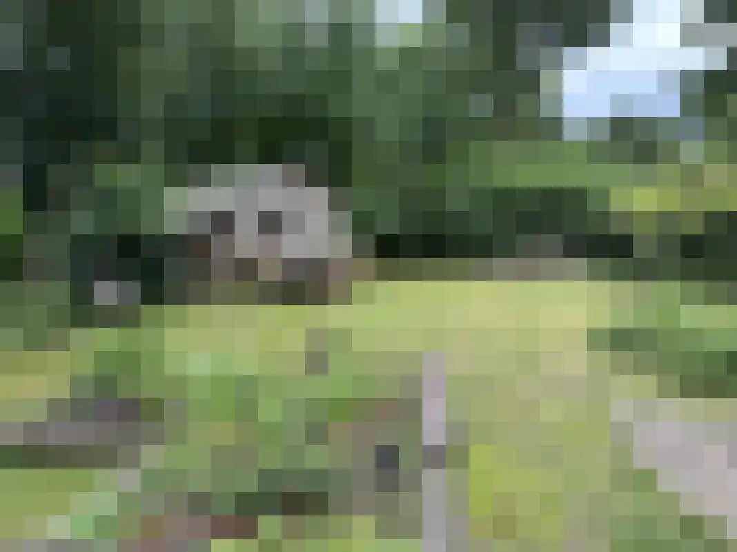 Houtvester Jansenweg 2 105 Gasselte thumbnail 32