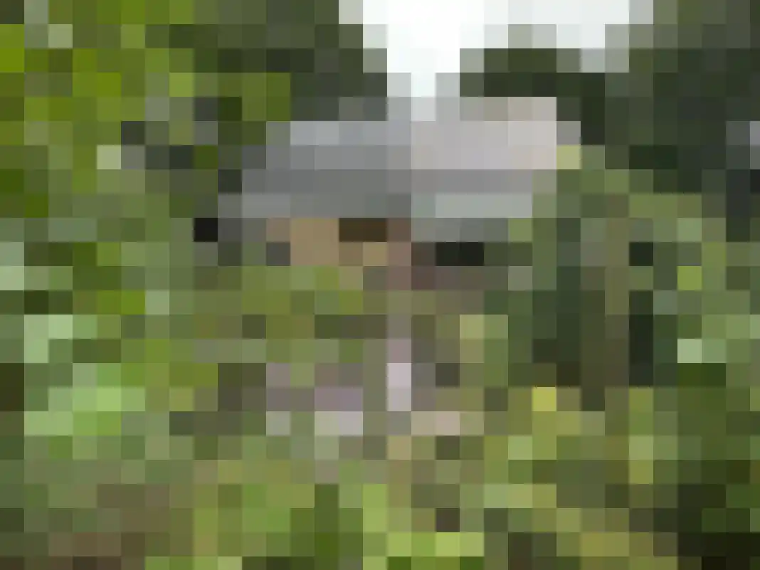 Houtvester Jansenweg 2 105 Gasselte thumbnail 5