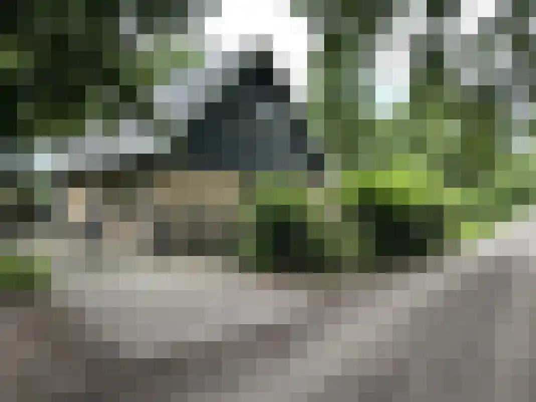 Houtvester Jansenweg 2 105 Gasselte thumbnail 6