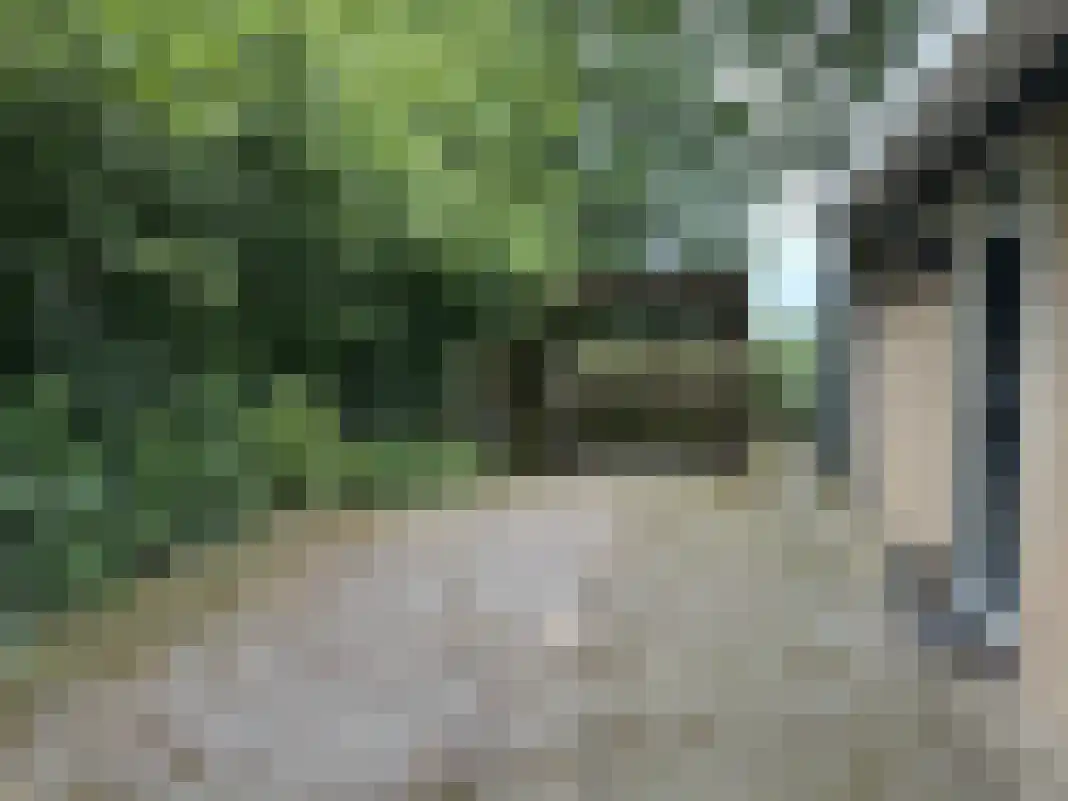 Houtvester Jansenweg 2 105 Gasselte thumbnail 7