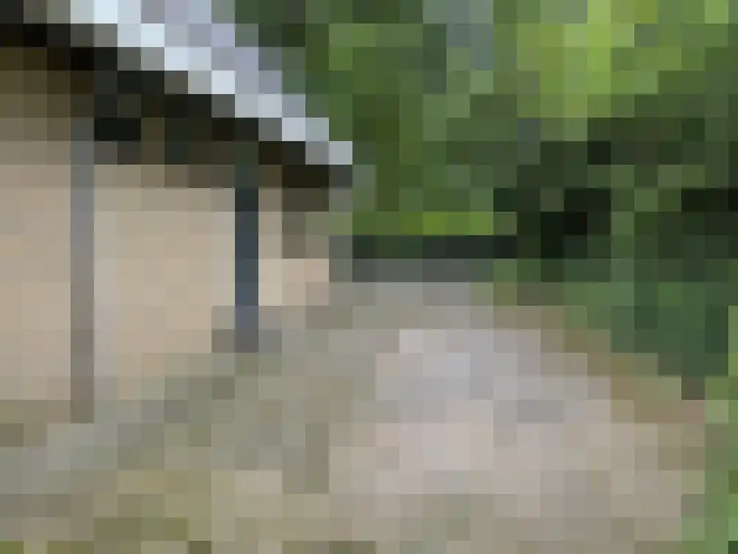 Houtvester Jansenweg 2 105 Gasselte thumbnail 8