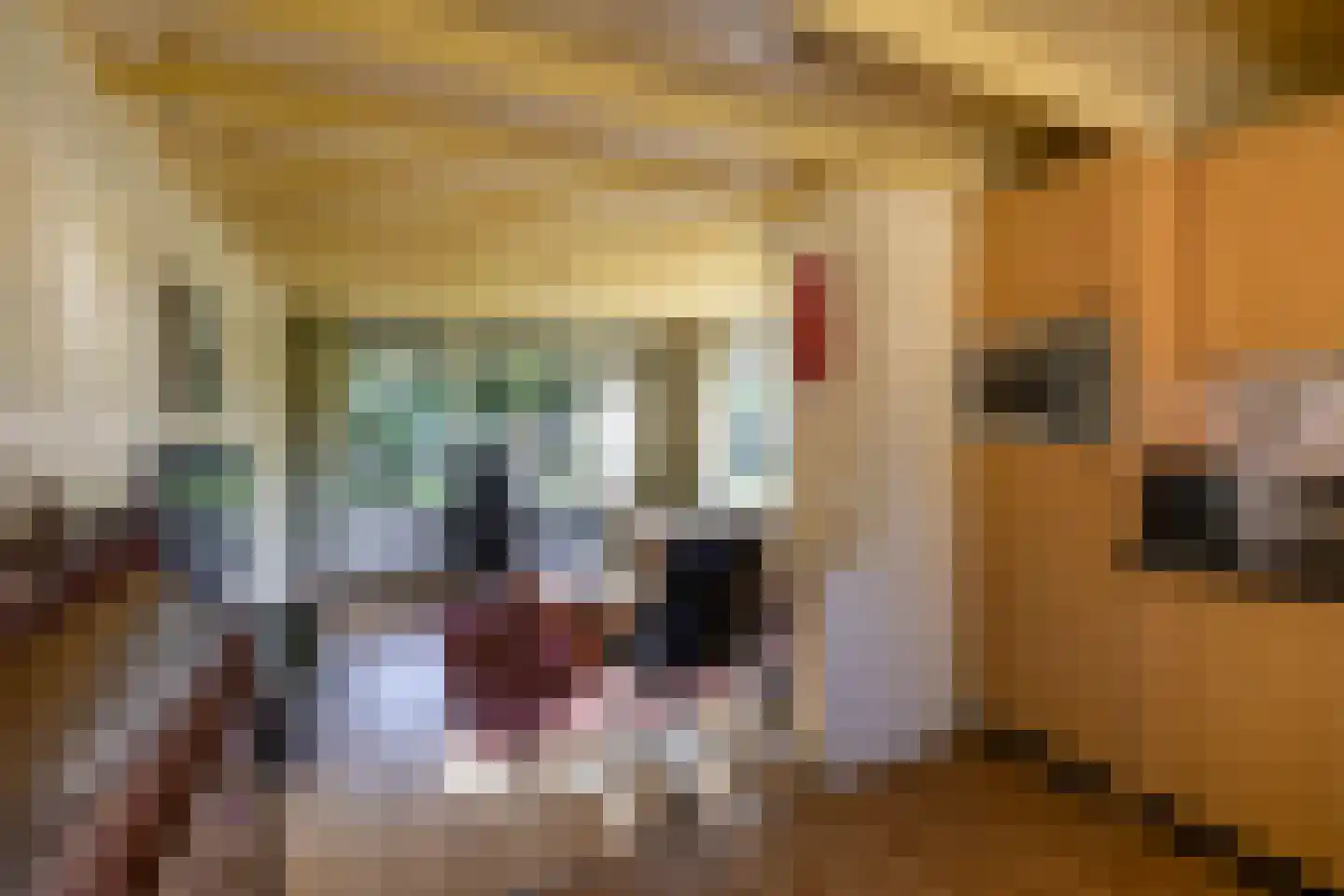 Houtvester Jansenweg 2 13 Gasselte thumbnail 16