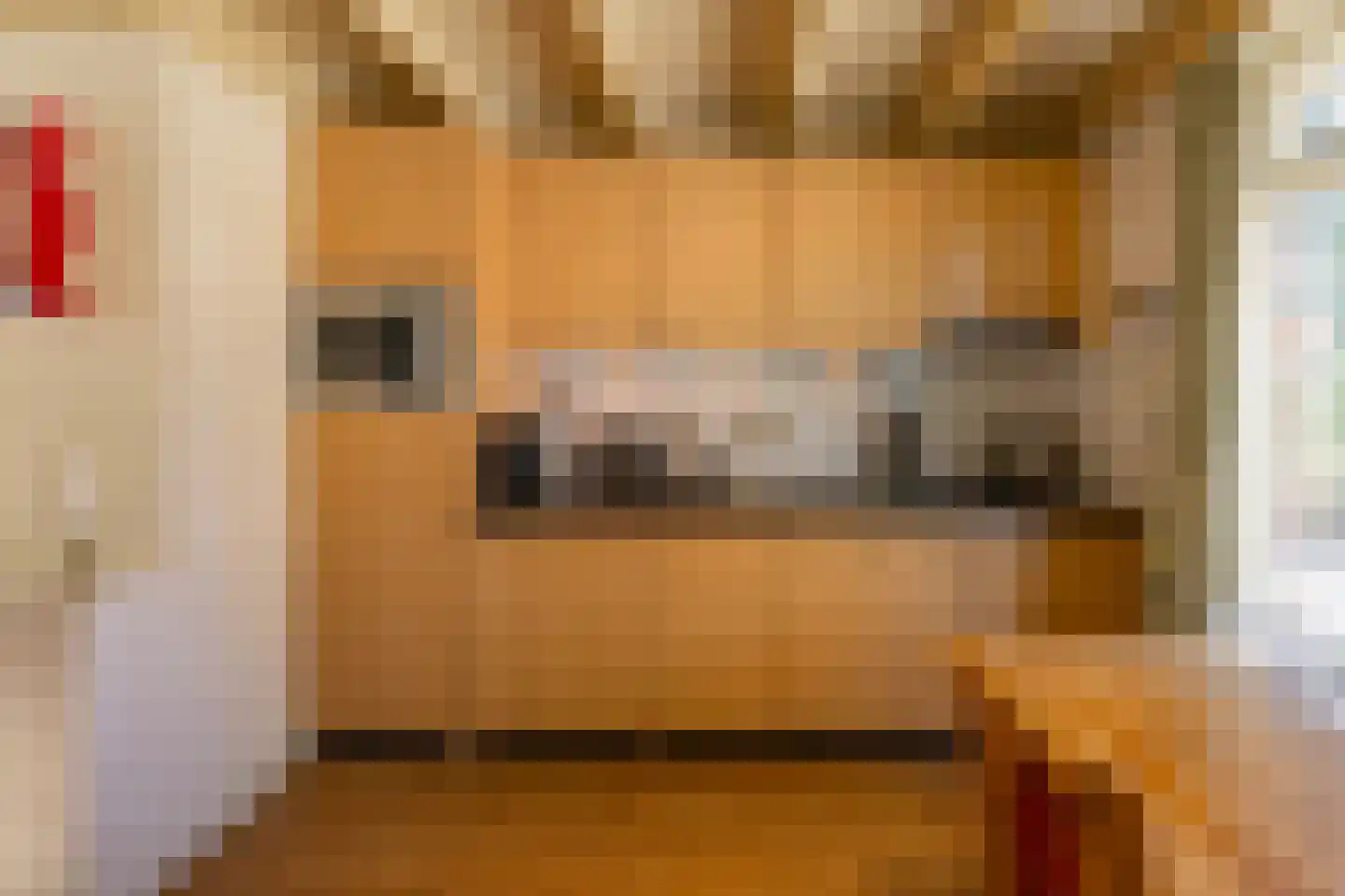 Houtvester Jansenweg 2 13 Gasselte thumbnail 17