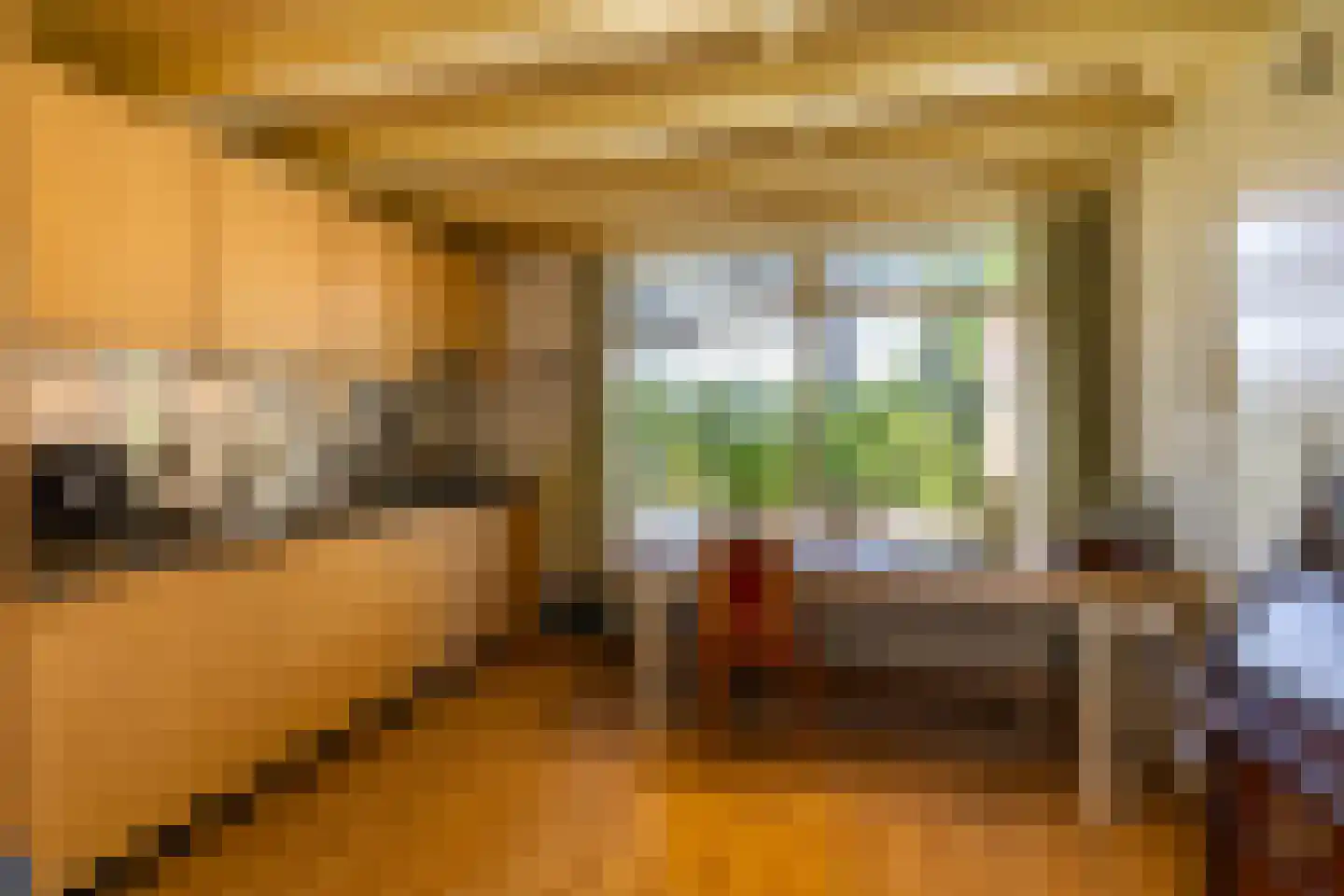 Houtvester Jansenweg 2 13 Gasselte thumbnail 18