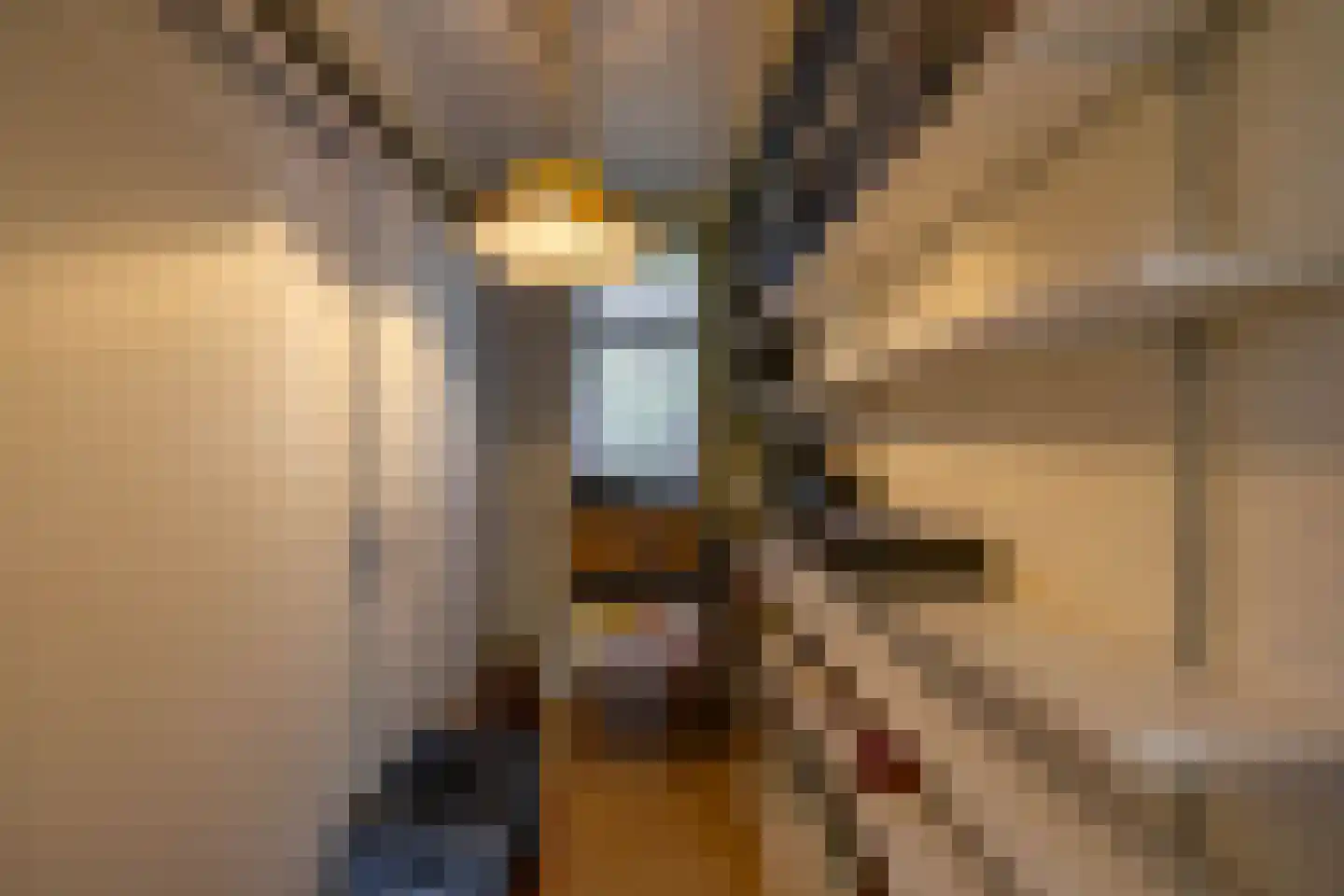 Houtvester Jansenweg 2 13 Gasselte thumbnail 24
