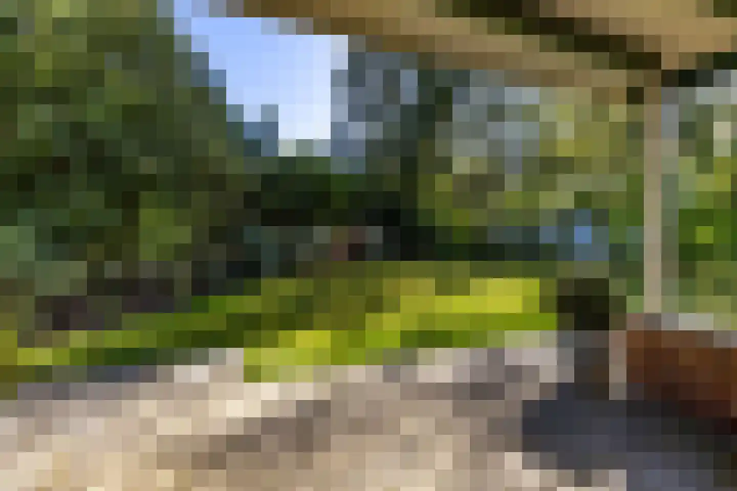 Houtvester Jansenweg 2 13 Gasselte thumbnail 26