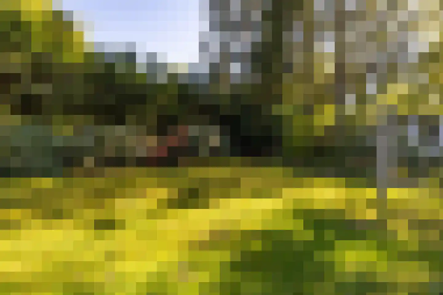Houtvester Jansenweg 2 13 Gasselte thumbnail 27
