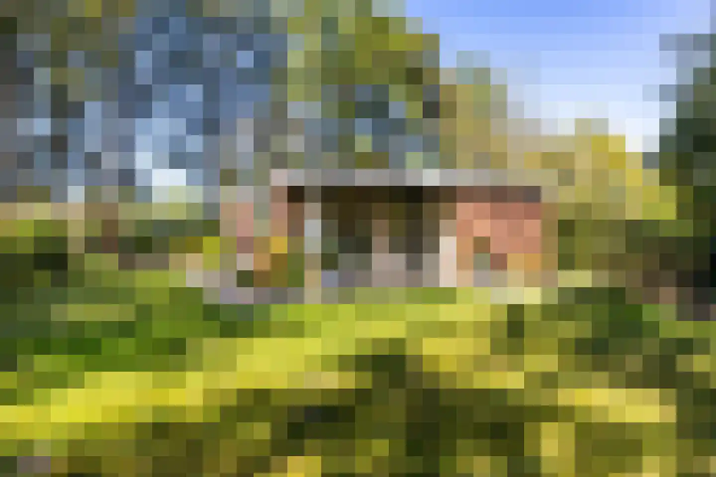 Houtvester Jansenweg 2 13 Gasselte thumbnail 28