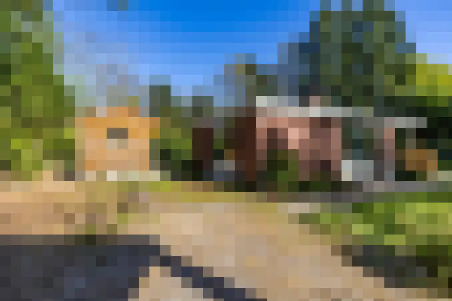 Houtvester Jansenweg 2 13 Gasselte thumbnail 29