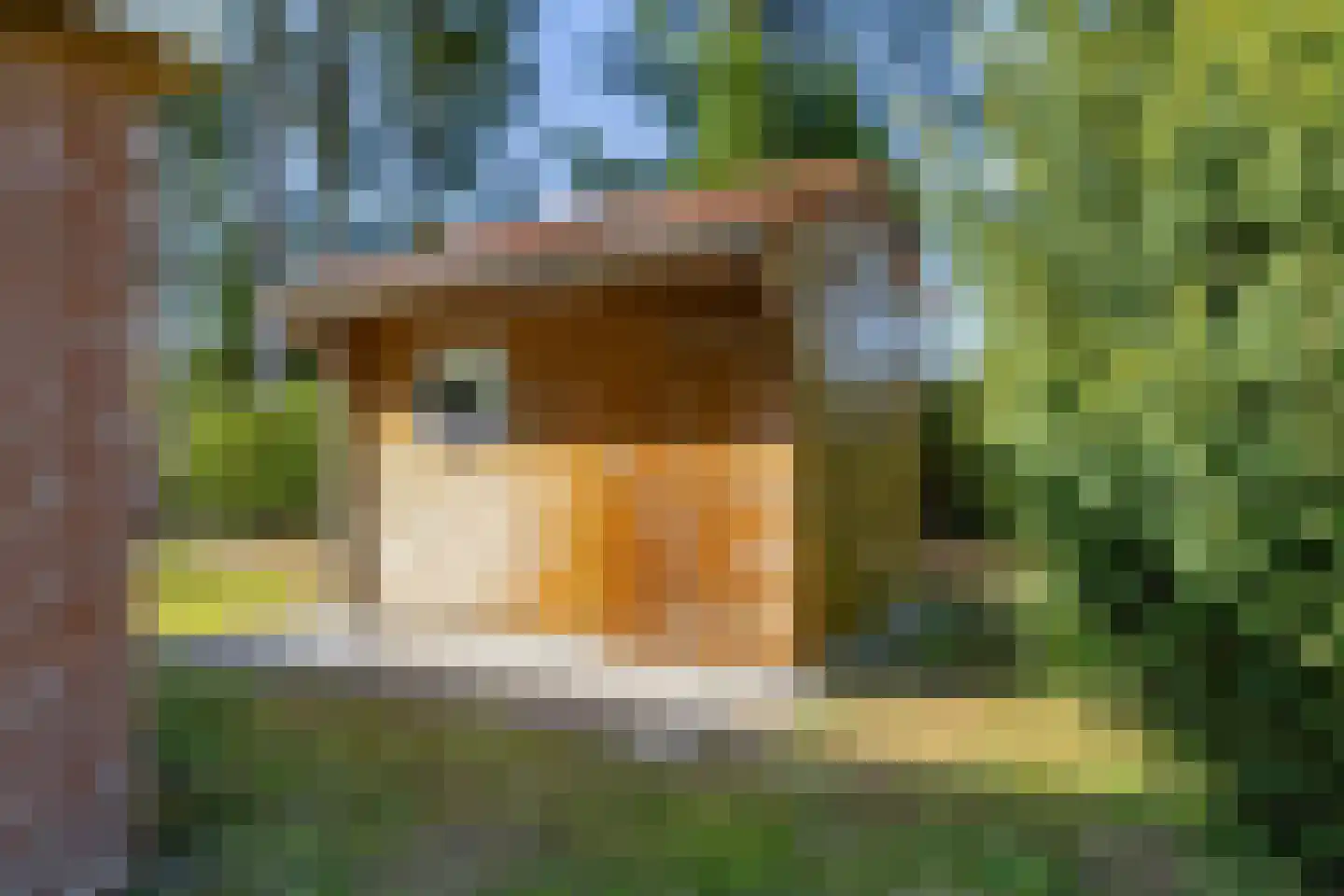 Houtvester Jansenweg 2 13 Gasselte thumbnail 30