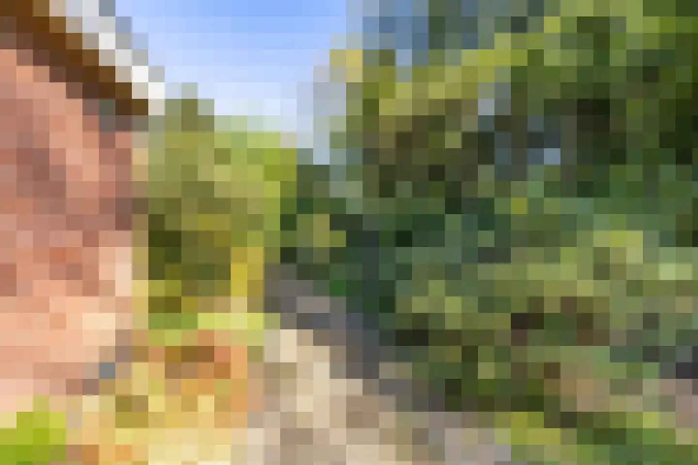 Houtvester Jansenweg 2 13 Gasselte thumbnail 31