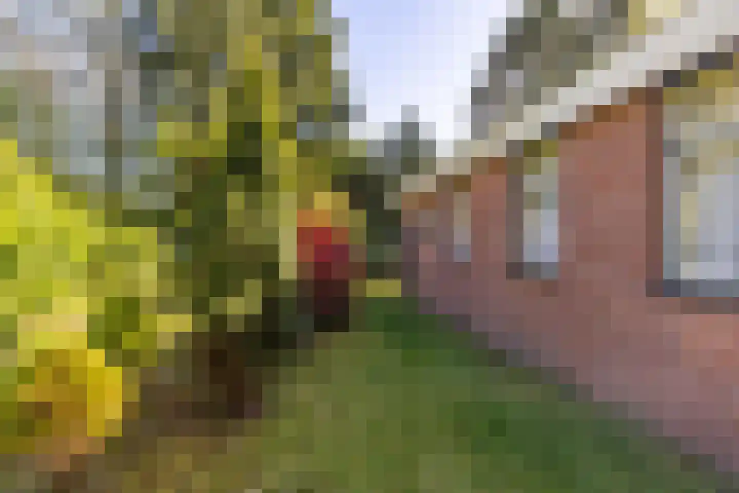 Houtvester Jansenweg 2 13 Gasselte thumbnail 32