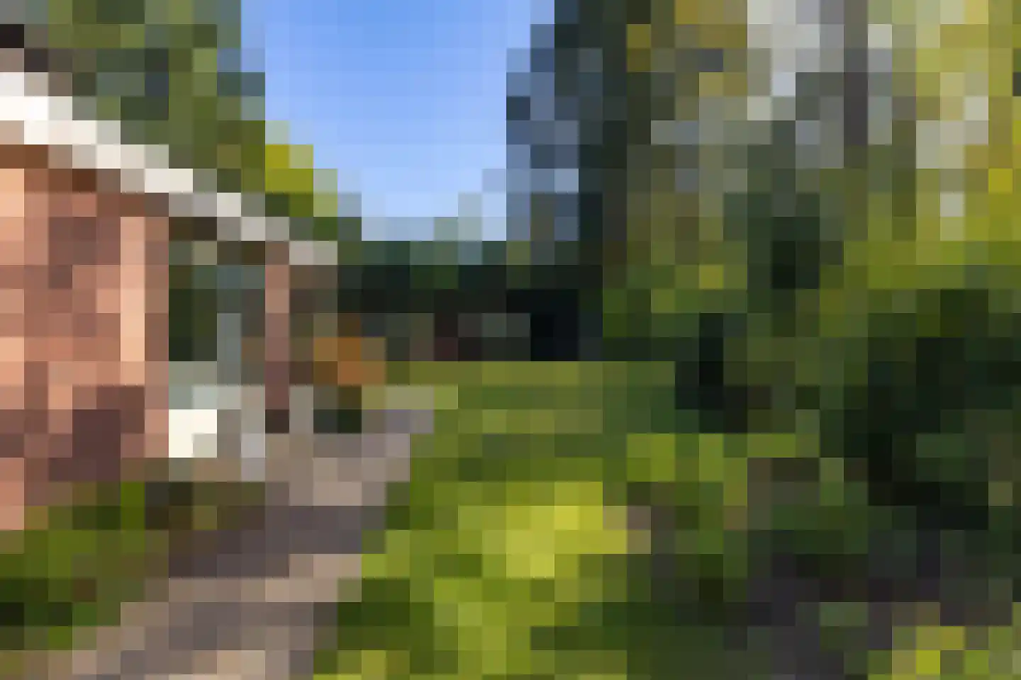 Houtvester Jansenweg 2 13 Gasselte thumbnail 33
