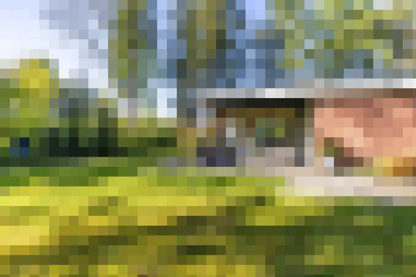Houtvester Jansenweg 2 13 Gasselte thumbnail 34