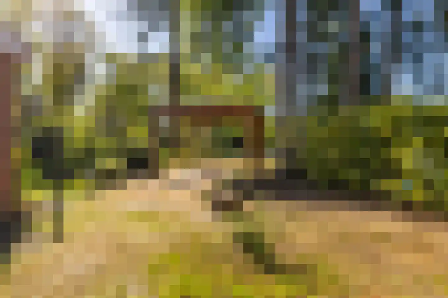 Houtvester Jansenweg 2 13 Gasselte thumbnail 35
