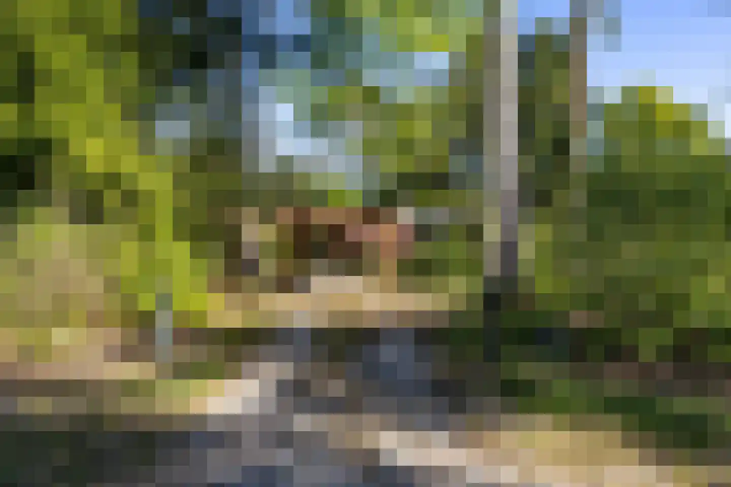 Houtvester Jansenweg 2 13 Gasselte thumbnail 36