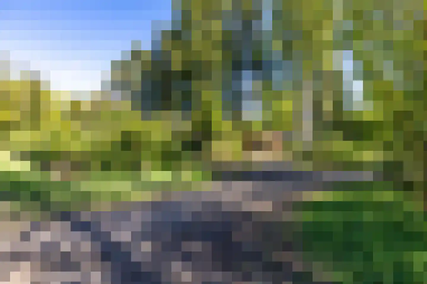 Houtvester Jansenweg 2 13 Gasselte thumbnail 37