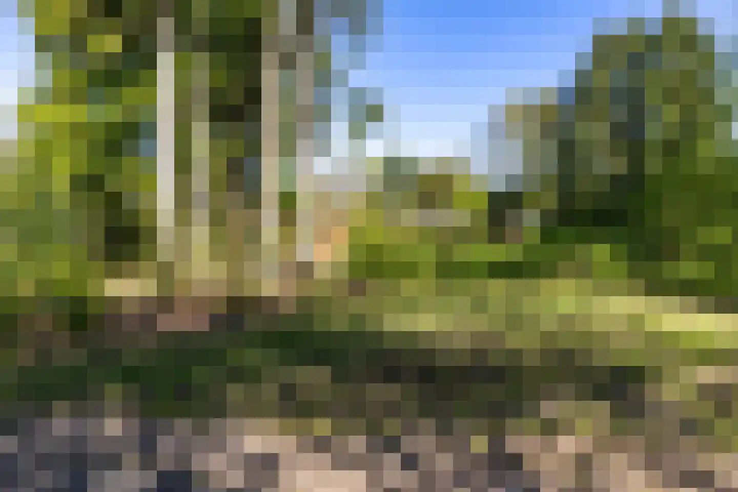 Houtvester Jansenweg 2 13 Gasselte thumbnail 38