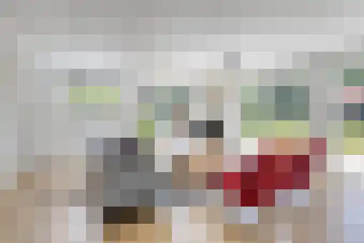 Houtvester Jansenweg 2 202 Gasselte thumbnail 10