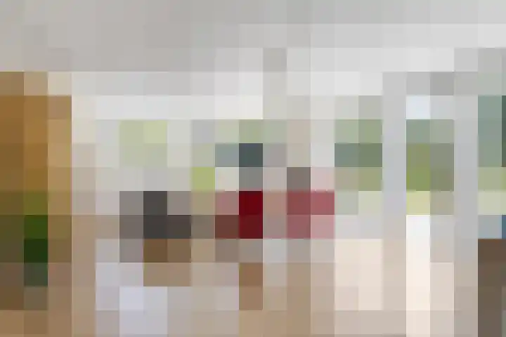 Houtvester Jansenweg 2 202 Gasselte thumbnail 16