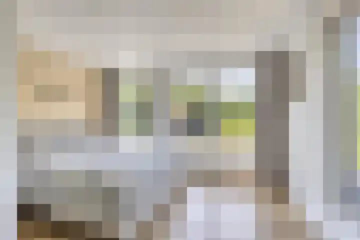 Houtvester Jansenweg 2 202 Gasselte thumbnail 23