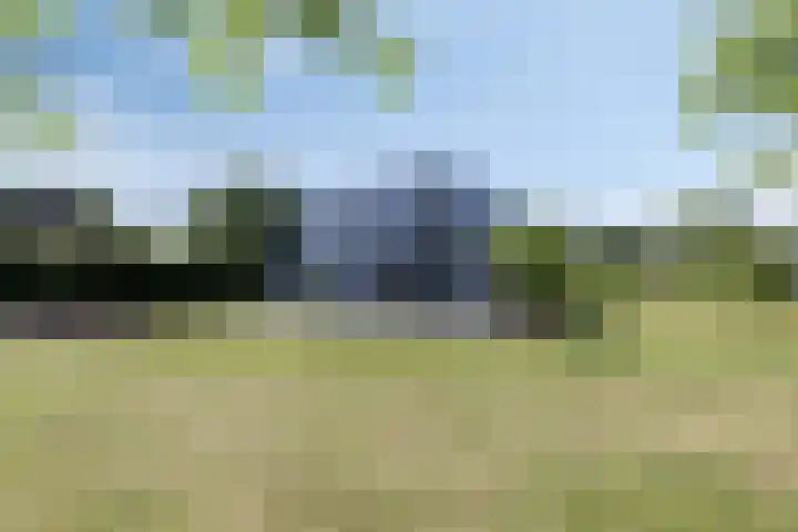 Houtvester Jansenweg 2 202 Gasselte thumbnail 30