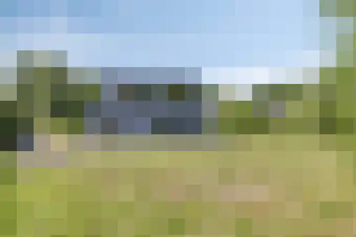 Houtvester Jansenweg 2 202 Gasselte thumbnail 31
