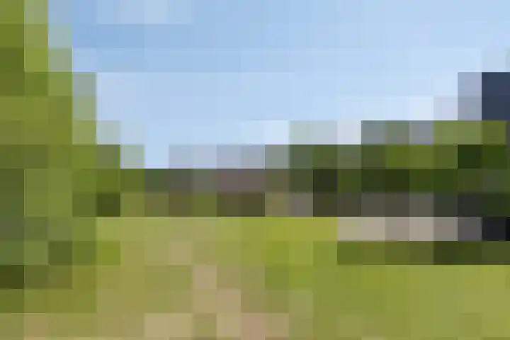 Houtvester Jansenweg 2 202 Gasselte thumbnail 32