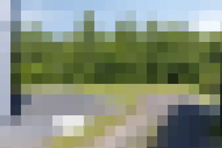 Houtvester Jansenweg 2 202 Gasselte thumbnail 33