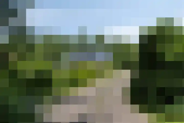 Houtvester Jansenweg 2 202 Gasselte thumbnail 34