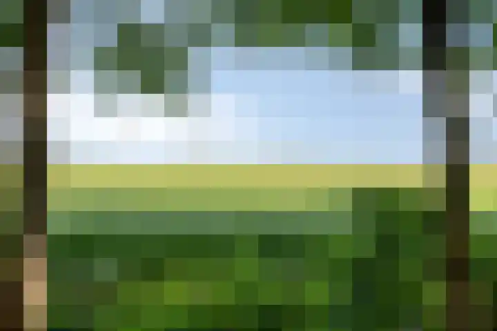 Houtvester Jansenweg 2 202 Gasselte thumbnail 36
