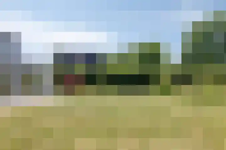 Houtvester Jansenweg 2 202 Gasselte thumbnail 4