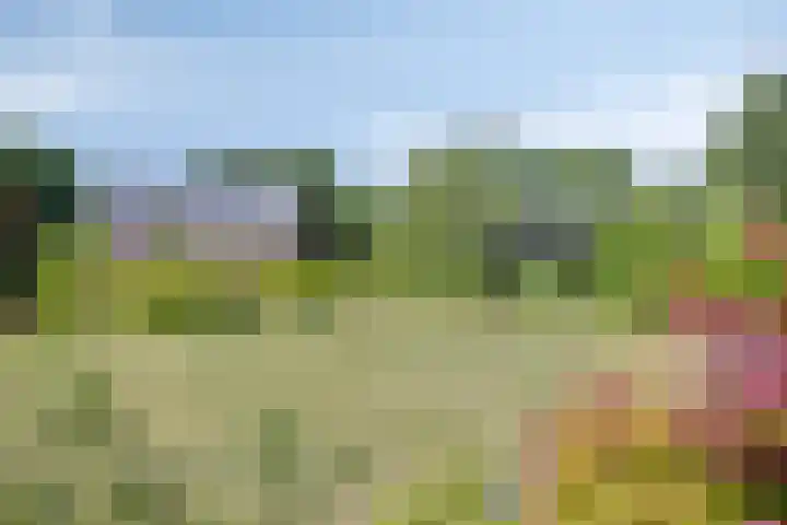 Houtvester Jansenweg 2 202 Gasselte thumbnail 5