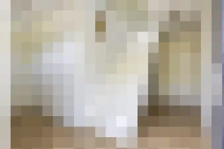 Houtvester Jansenweg 2 202 Gasselte thumbnail 6