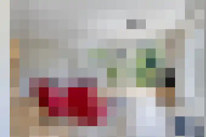 Houtvester Jansenweg 2 202 Gasselte thumbnail 9