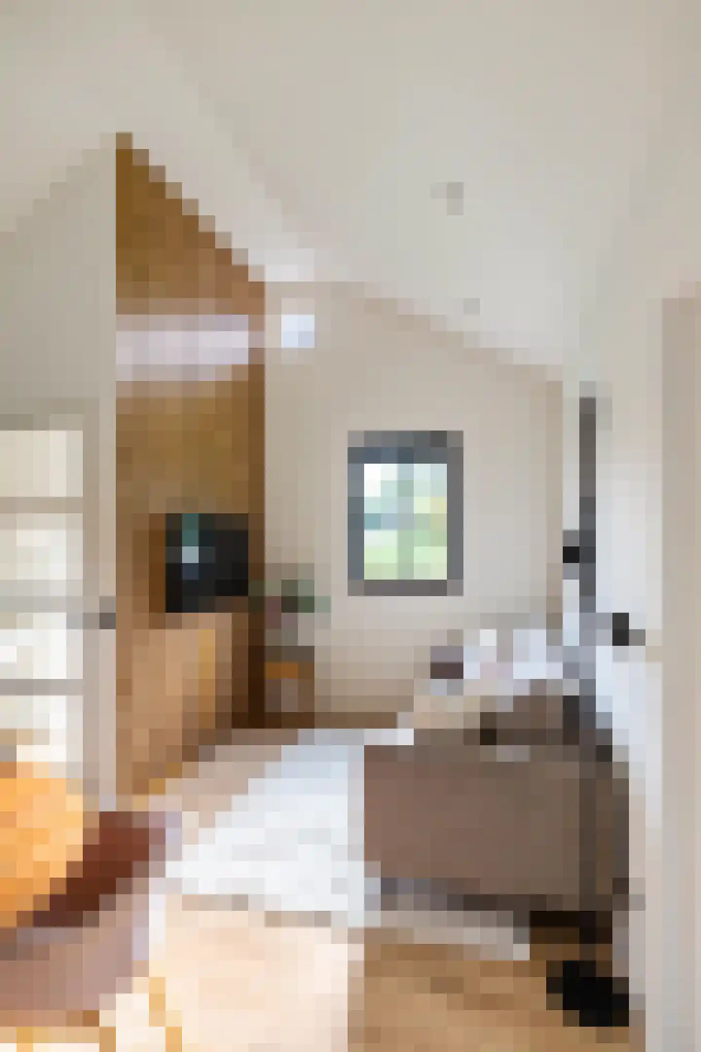 Houtvester Jansenweg 2 219 Gasselte thumbnail 10