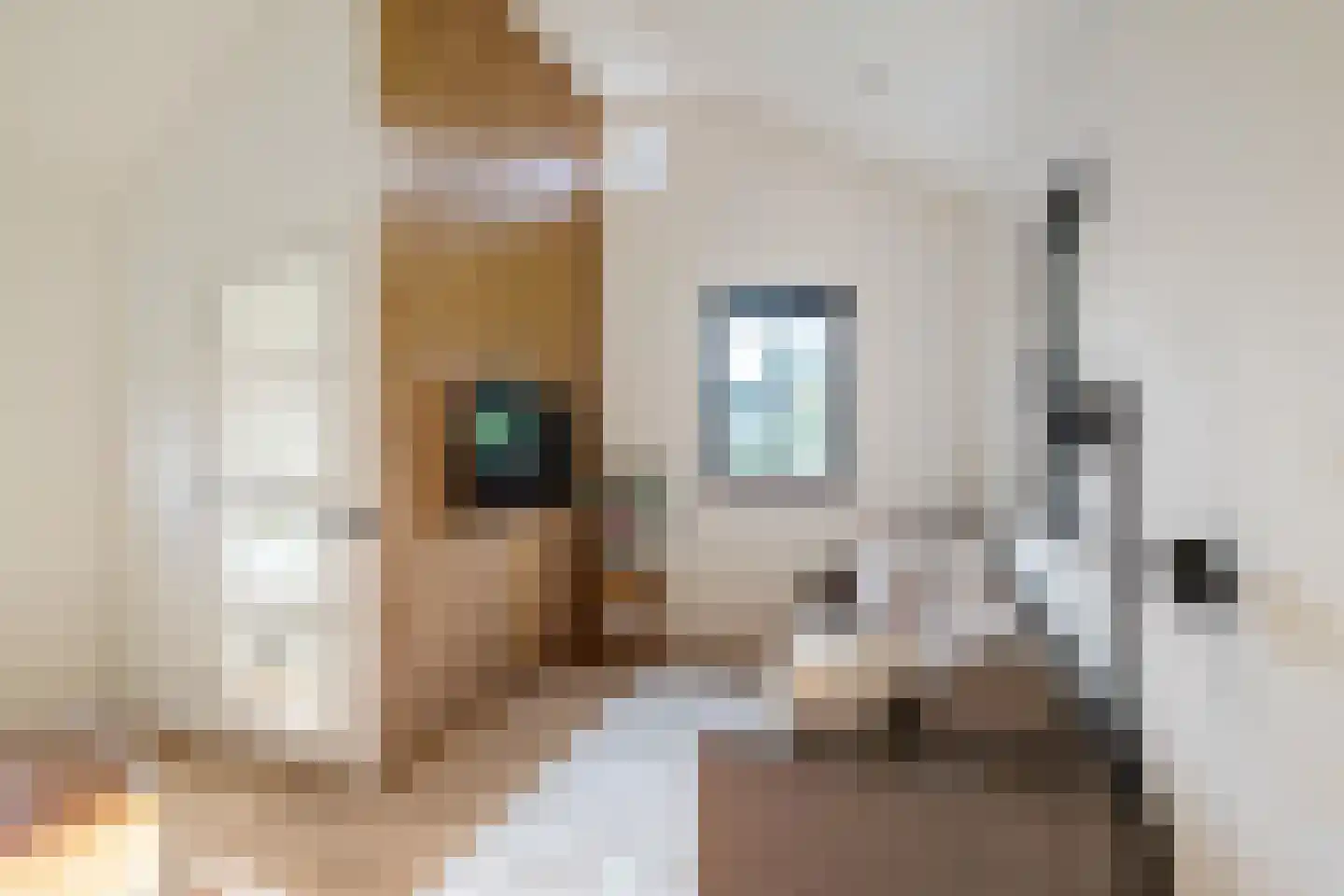 Houtvester Jansenweg 2 219 Gasselte thumbnail 11
